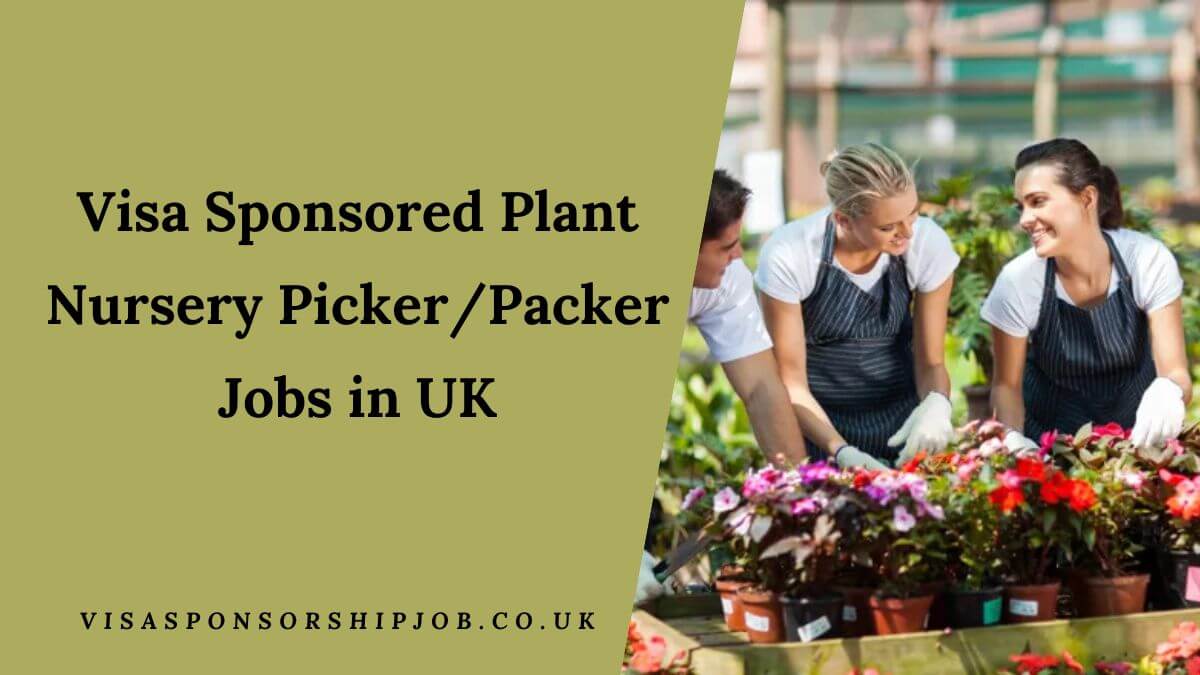 Visa Sponsored Plant Nursery Picker/Packer Jobs in UK