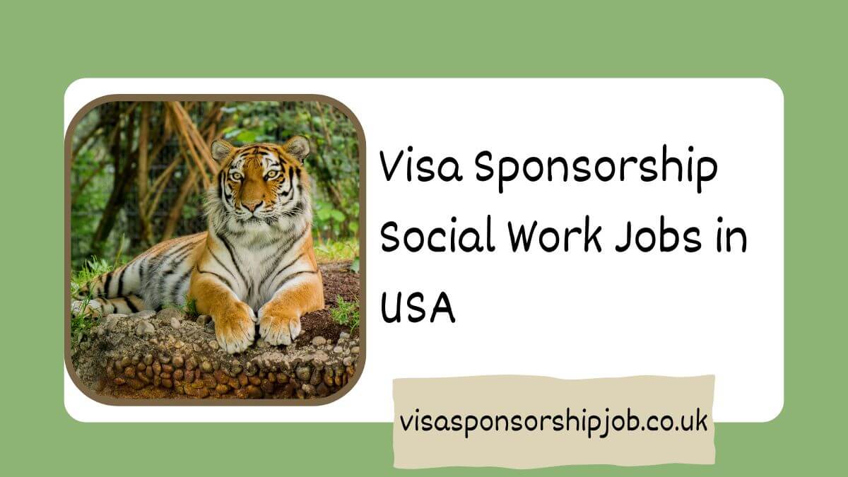 Visa Sponsorship Social Work Jobs in USA