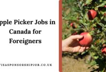 Apple Picker Jobs in Canada for Foreigners