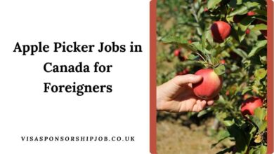 Apple Picker Jobs in Canada for Foreigners