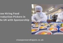 Now Hiring Food Production Pickers in the UK with Sponsorship