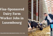 Visa-Sponsored Dairy Farm Worker Jobs in Luxembourg