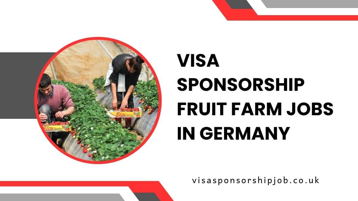 Visa Sponsorship Fruit Farm Jobs in Germany