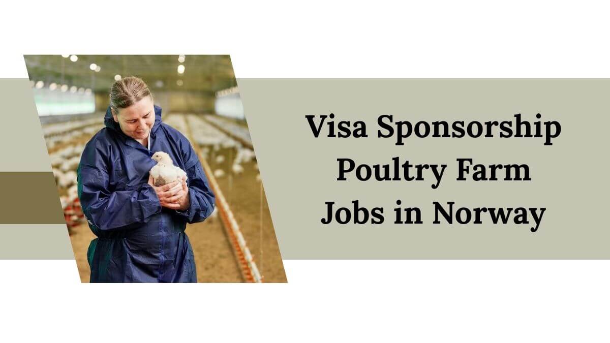 Visa Sponsorship Poultry Farm Jobs in Norway