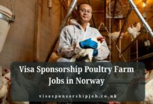 Visa Sponsorship Poultry Farm Jobs in Norway