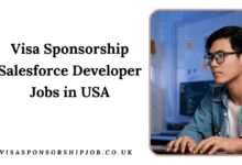 Visa Sponsorship Salesforce Developer Jobs in USA