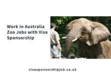 Work in Australia Zoo Jobs with Visa Sponsorship