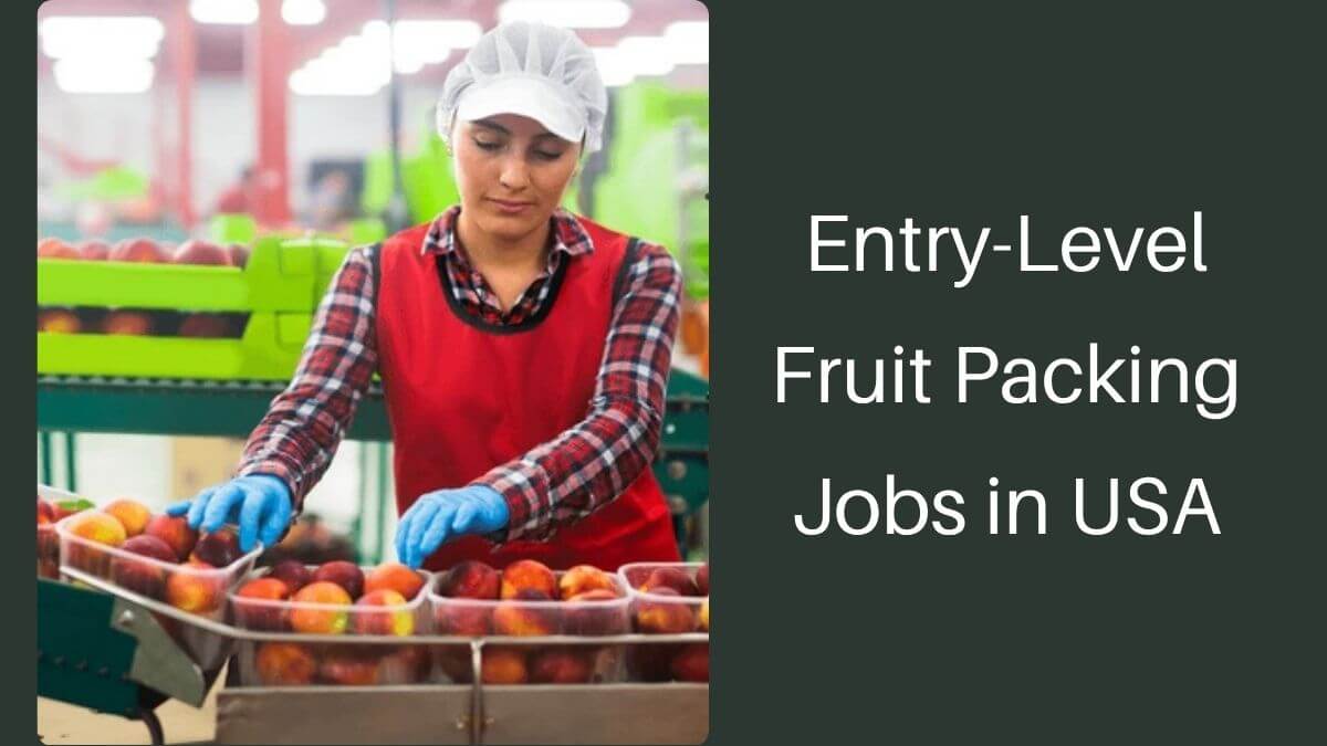 Entry-Level Fruit Packing Jobs in USA