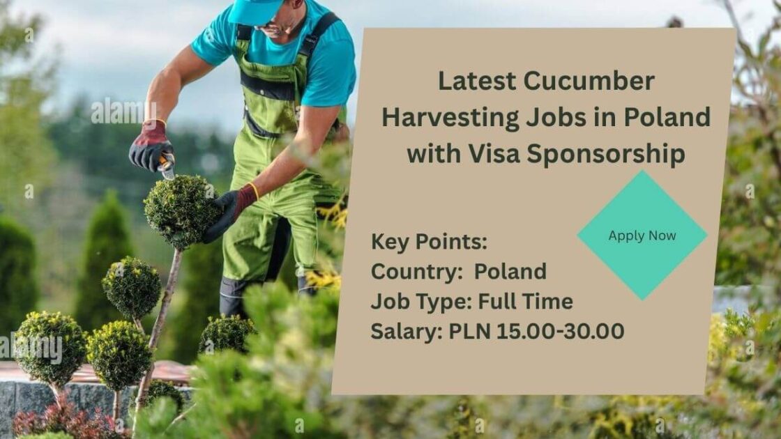 Latest Cucumber Harvesting Jobs in Poland with Visa Sponsorship