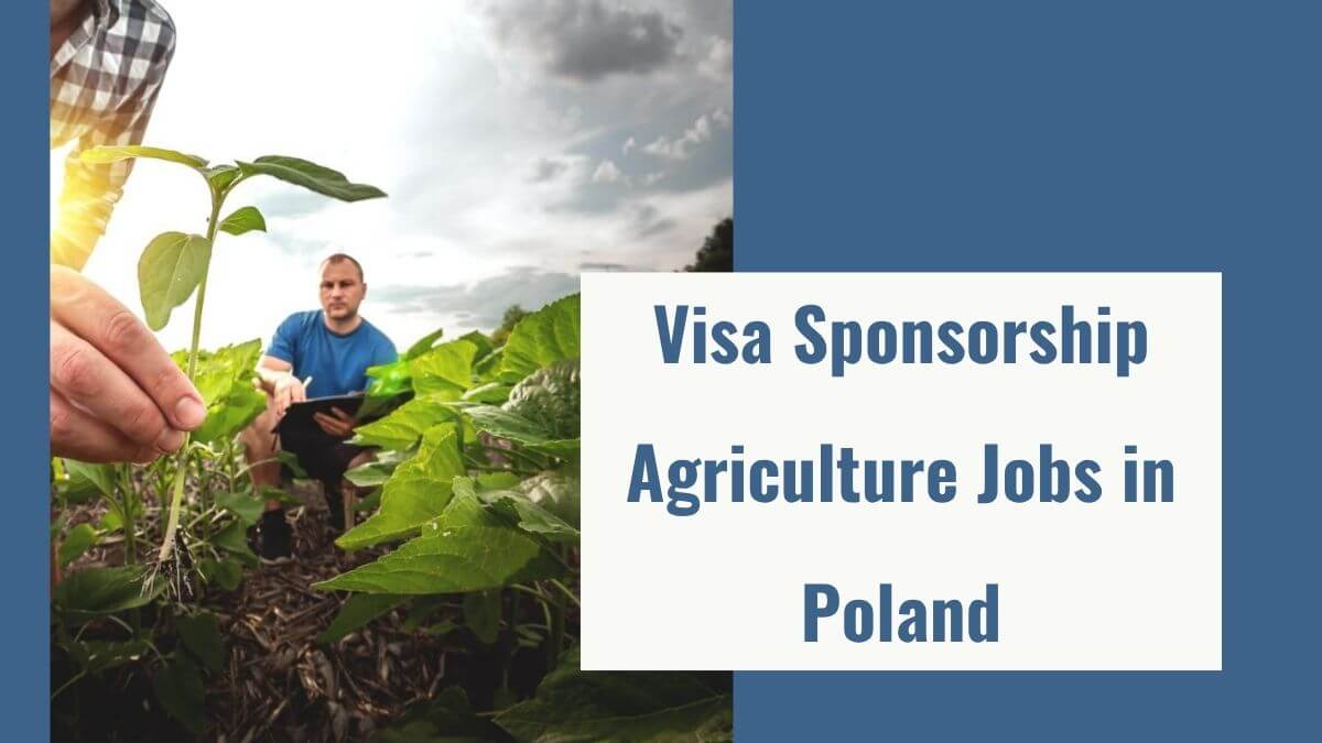 Visa Sponsorship Agriculture Jobs in Poland