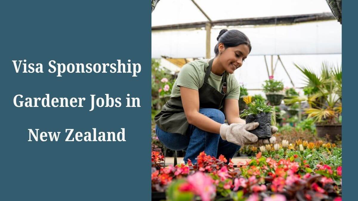 Visa Sponsorship Gardener Jobs in New Zealand