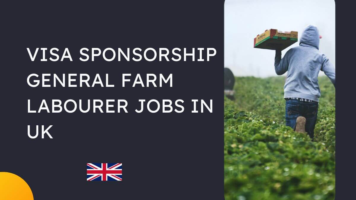 Visa Sponsorship General Farm Labourer Jobs in UK