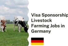 Visa Sponsorship Livestock Farming Jobs in Germany