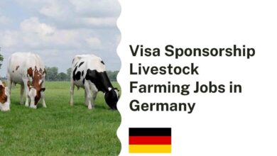 Visa Sponsorship Livestock Farming Jobs in Germany