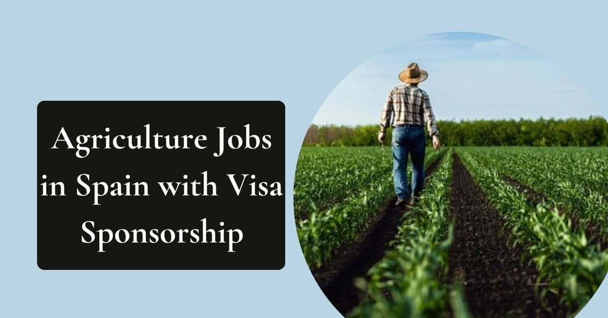 Agriculture Jobs in Spain with Visa Sponsorship