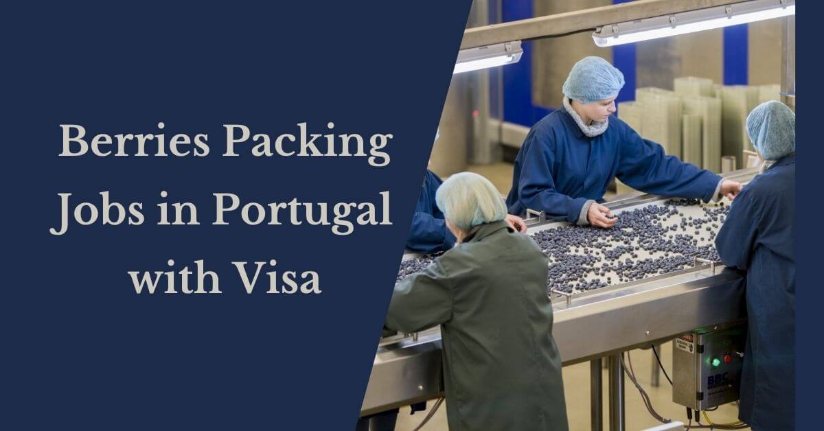 Berries Packing Jobs in Portugal with Visa