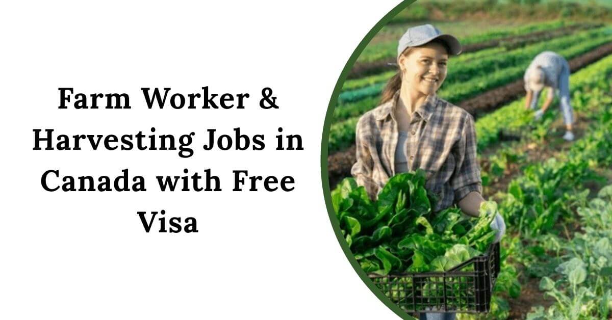 Farm Worker & Harvesting Jobs in Canada with Free Visa