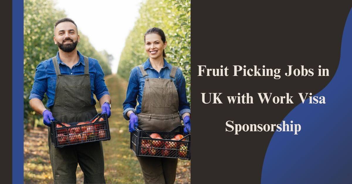 Fruit Picking Jobs in UK with Work Visa Sponsorship
