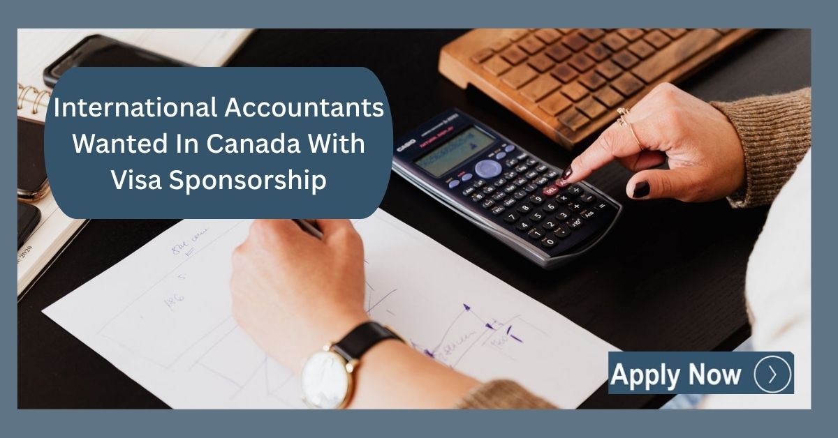 International Accountants Wanted In Canada With Visa Sponsorship