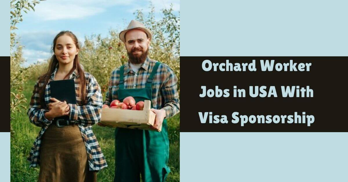 Orchard Worker Jobs in USA With Visa Sponsorship