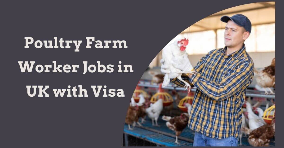 Poultry Farm Worker Jobs in UK with Visa