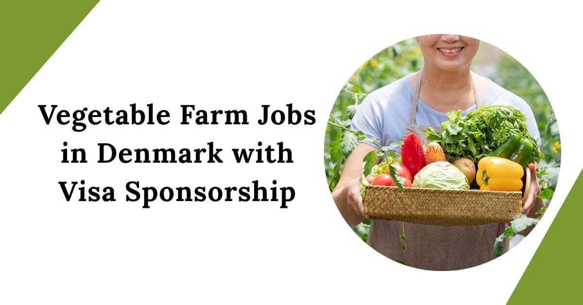 Vegetable Farm Jobs in Denmark with Visa Sponsorship