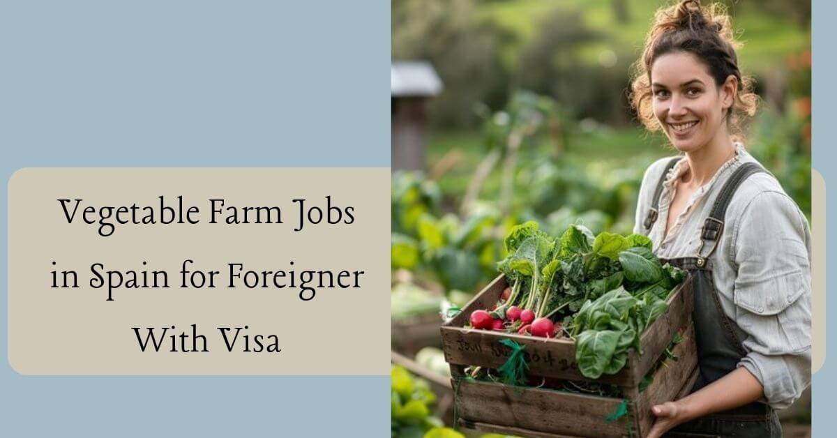 Vegetable Farm Jobs in Spain for Foreigner With Visa