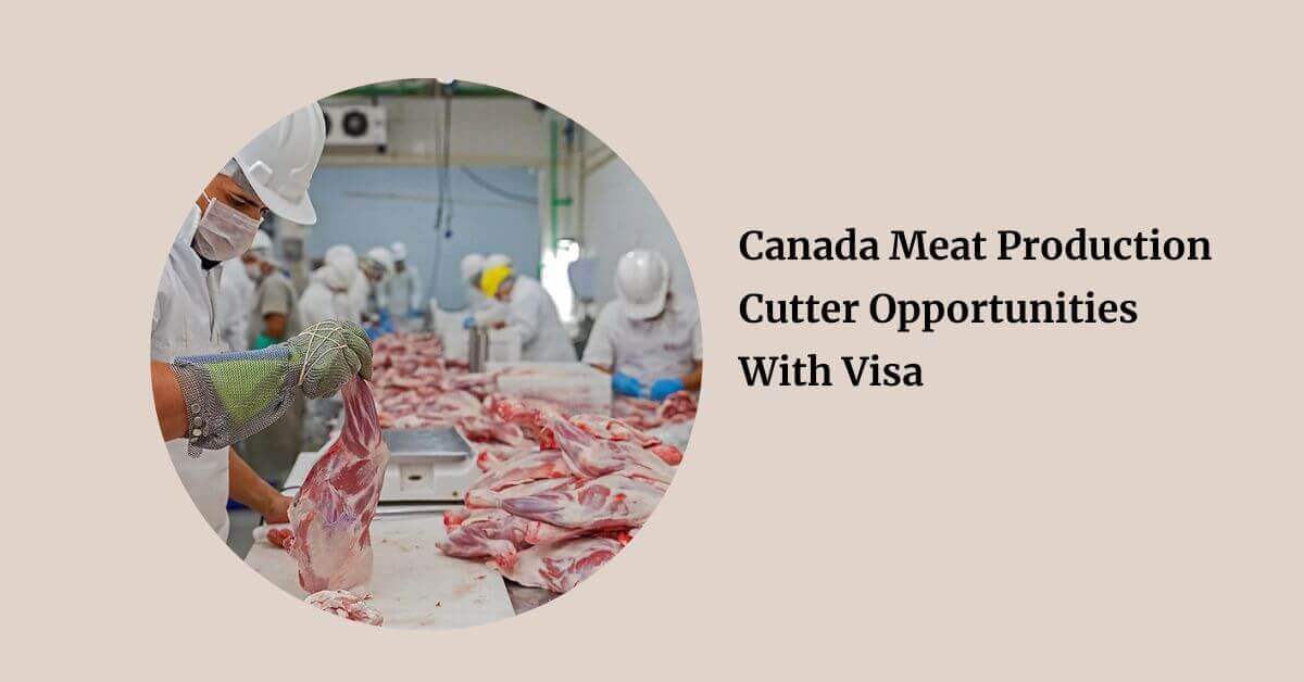 Canada Meat Production Cutter Opportunities With Visa